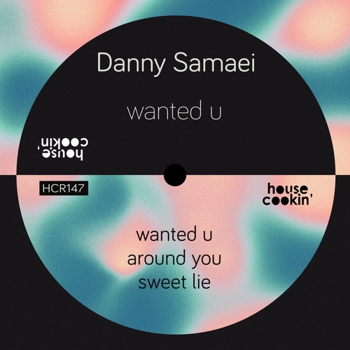 Danny Samaei - Wanted You [HCR147]